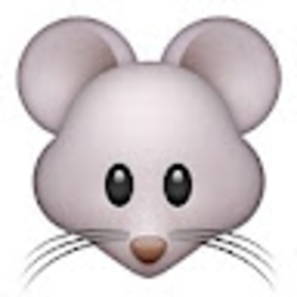 Meet your Posher, Boo - Picture 1 of 1